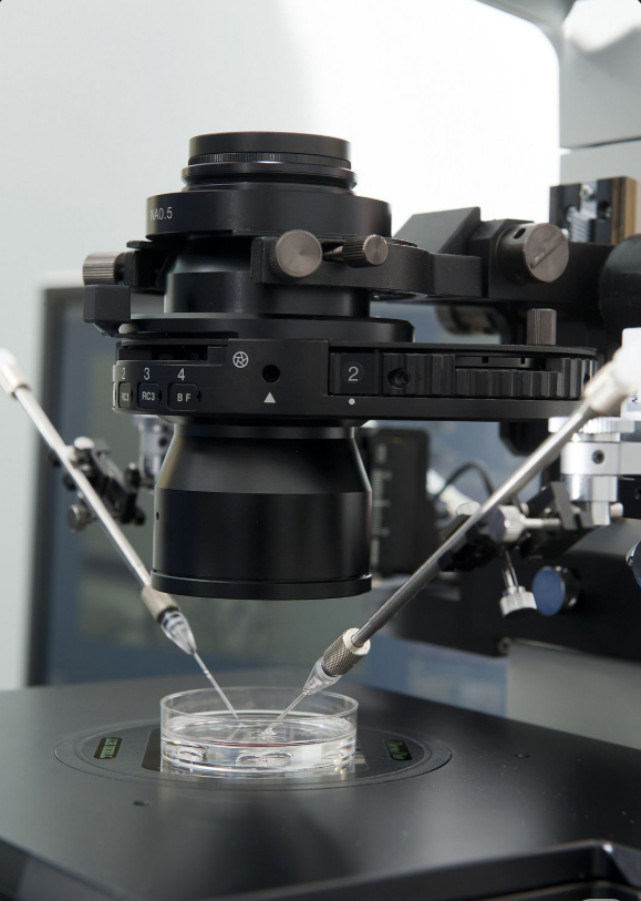 IVF چیست و برای چه کسانی مناسب است؟